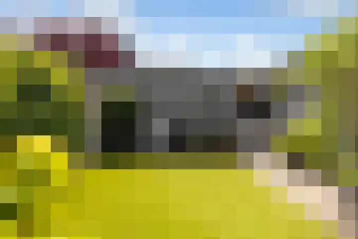 Zevenblad 16 De Meern thumbnail 30