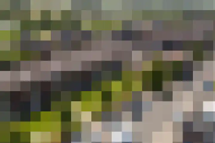 Zevenblad 16 De Meern thumbnail 32