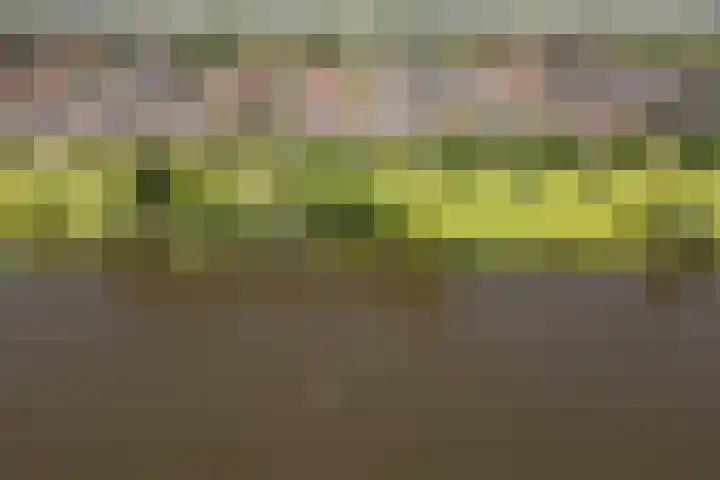 Zevenblad 16 De Meern thumbnail 33