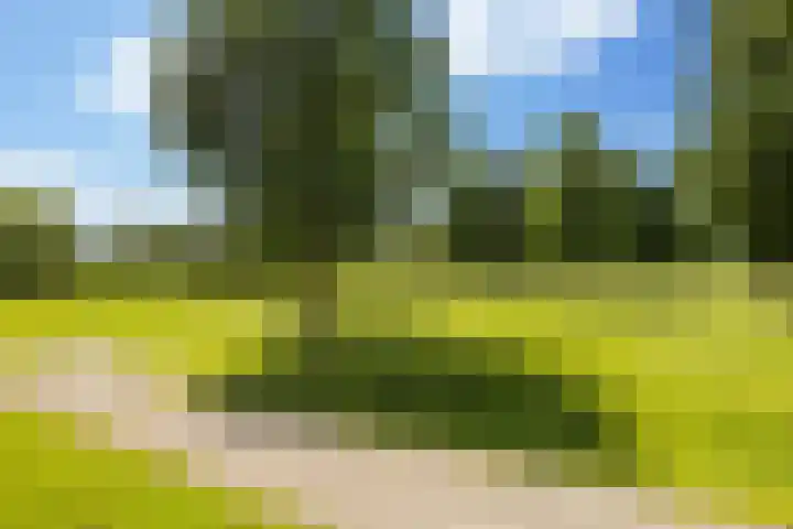 Zevenblad 16 De Meern thumbnail 35