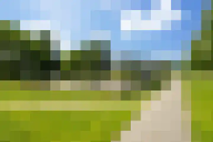Zevenblad 16 De Meern thumbnail 36