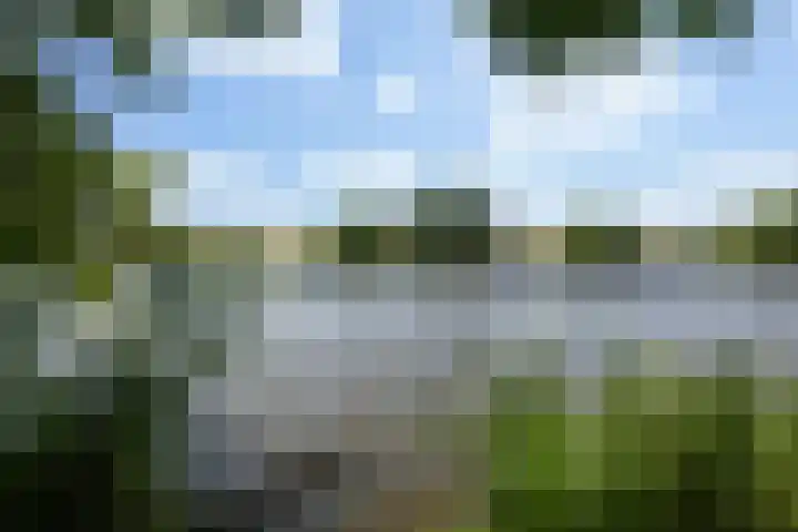 Zevenblad 16 De Meern thumbnail 37