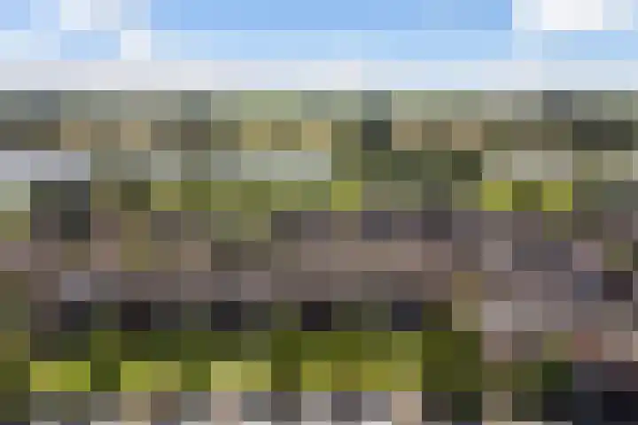 Zevenblad 16 De Meern thumbnail 4
