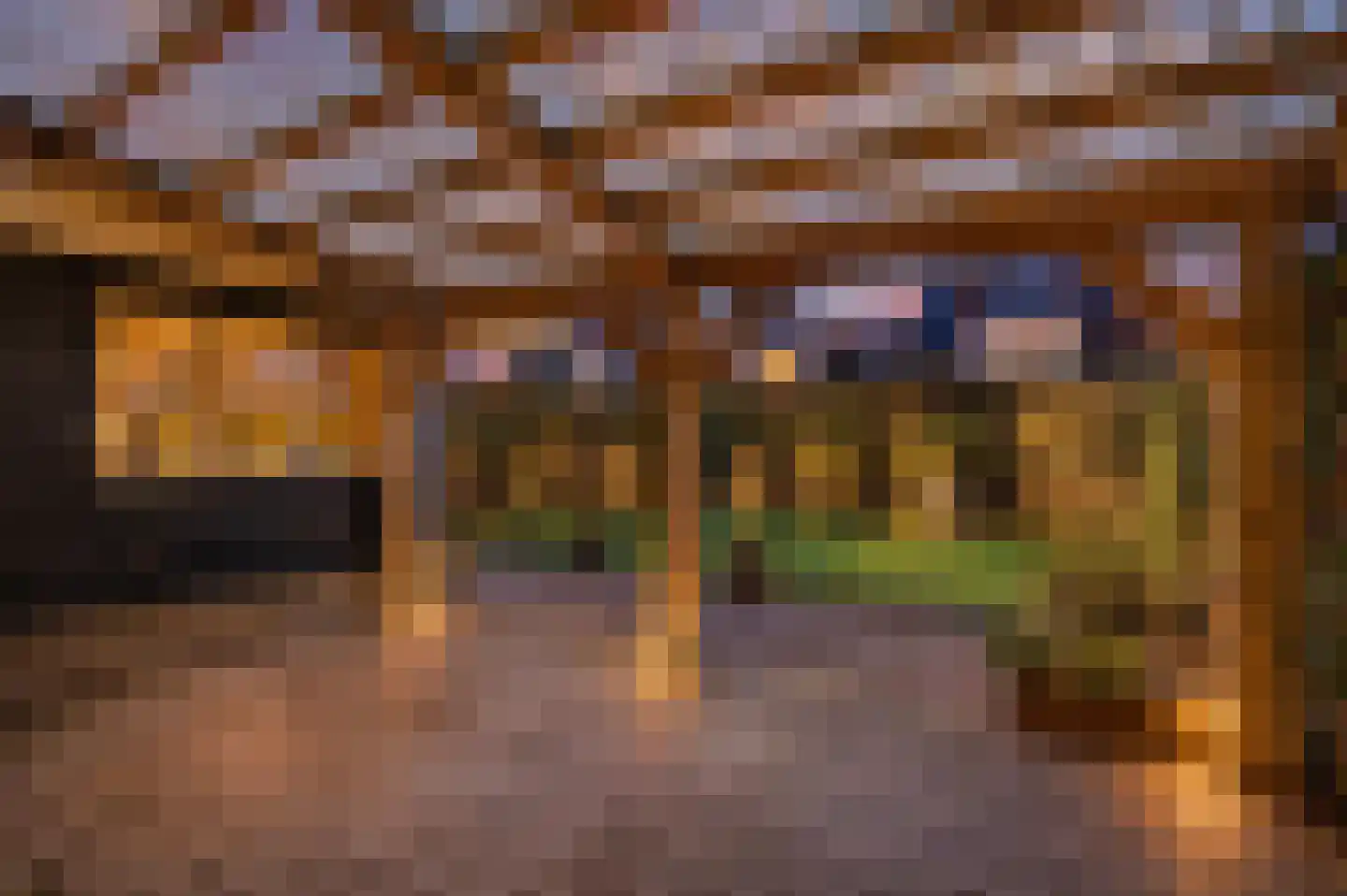Zevenblad 20 Borne thumbnail 22