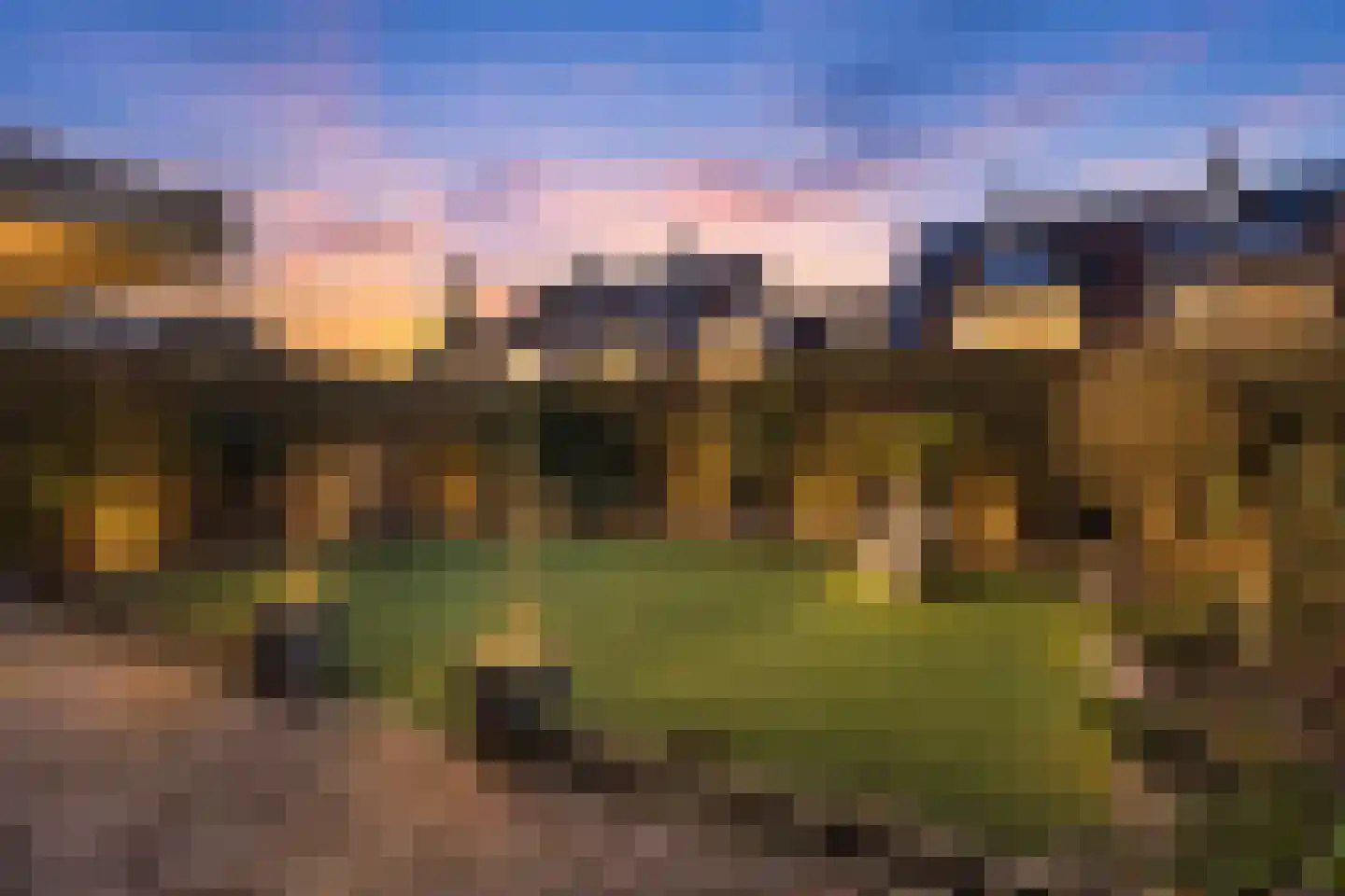 Zevenblad 20 Borne thumbnail 23