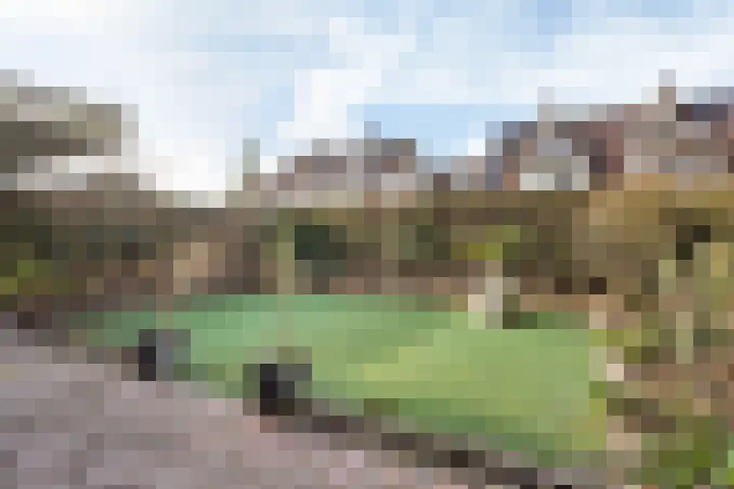 Zevenblad 20 Borne thumbnail 5