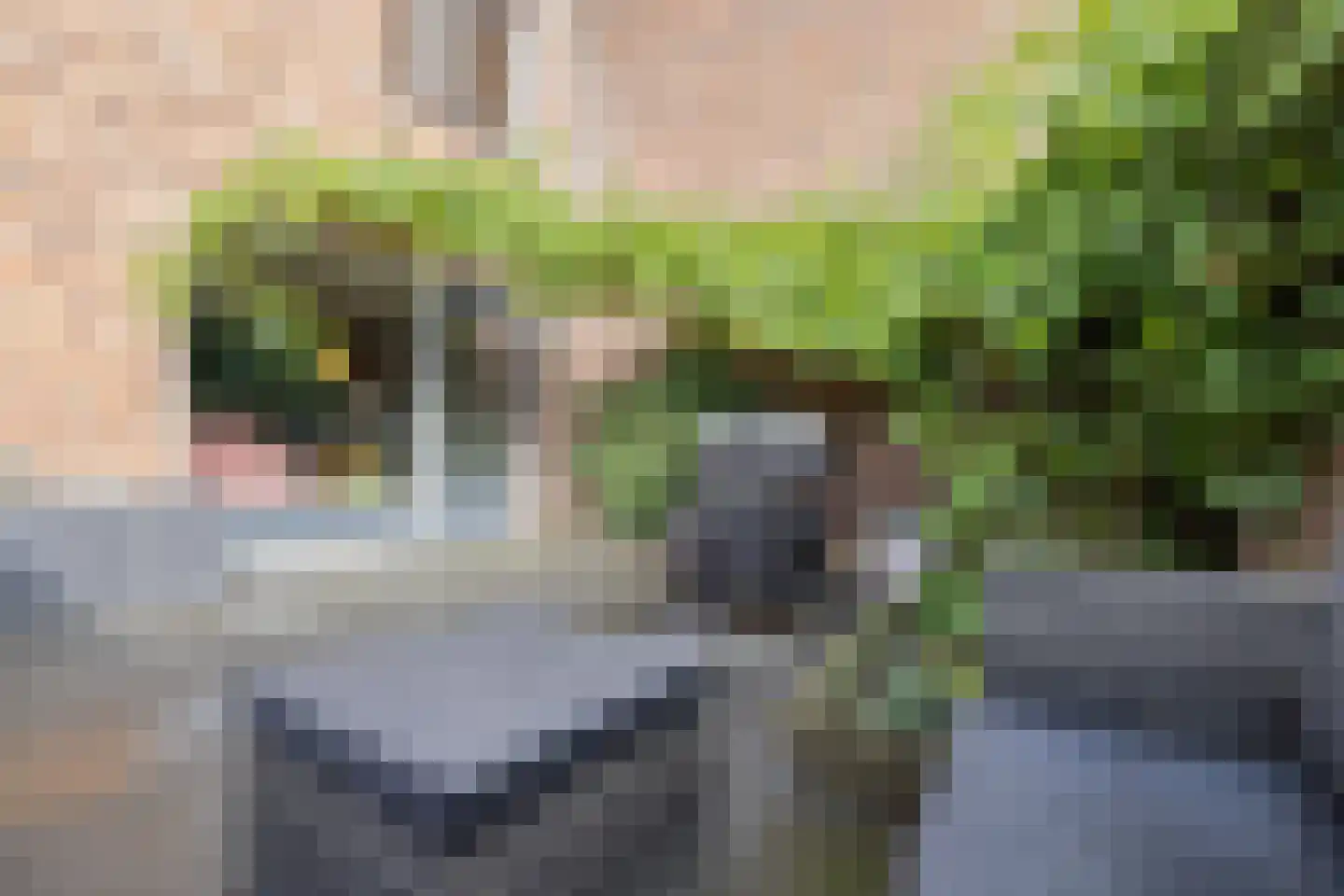 Zevenblad 23 De Meern thumbnail 32