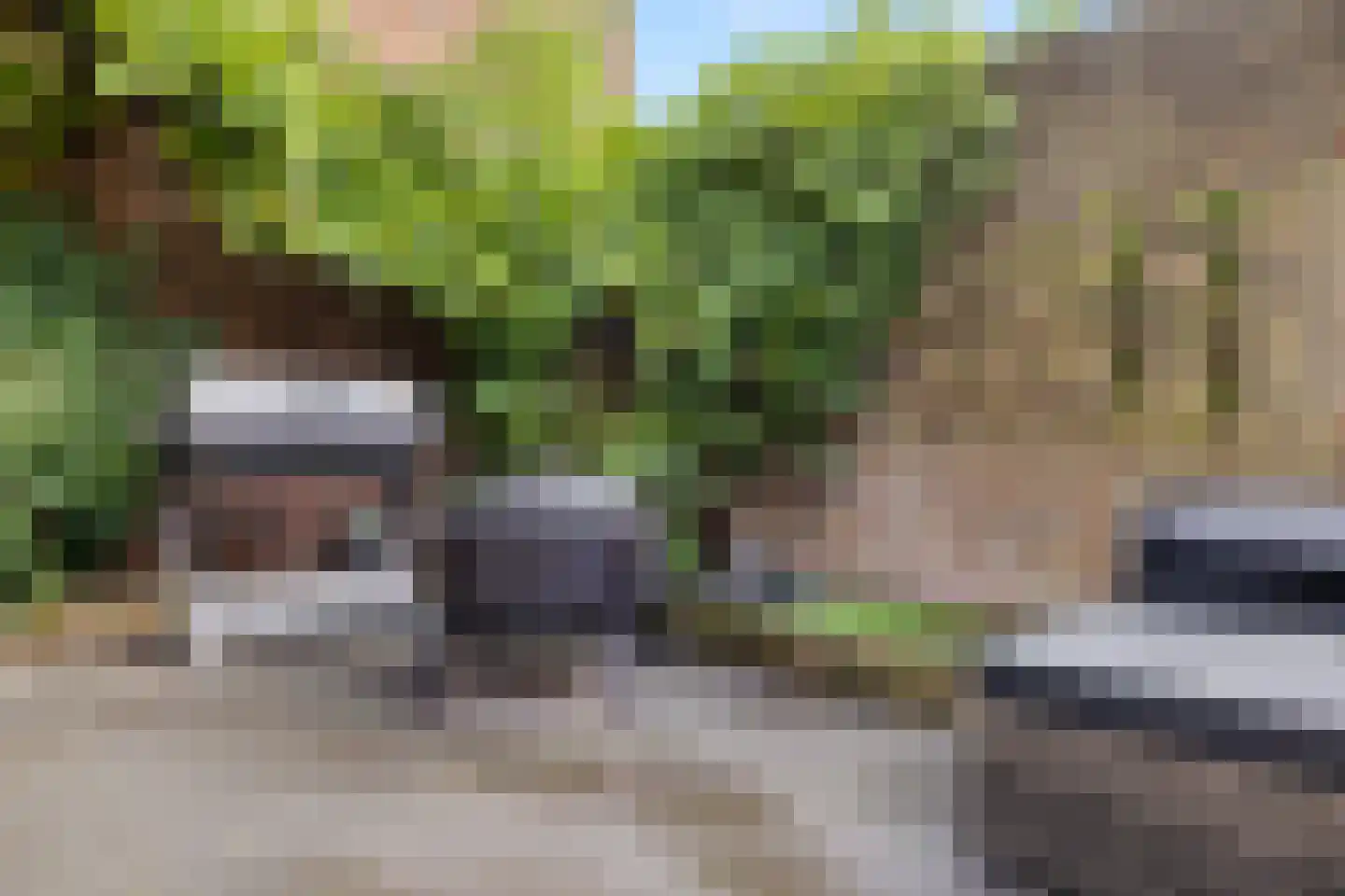 Zevenblad 23 De Meern thumbnail 34