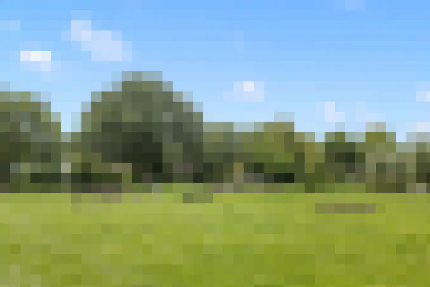 Zevenblad 23 De Meern thumbnail 38