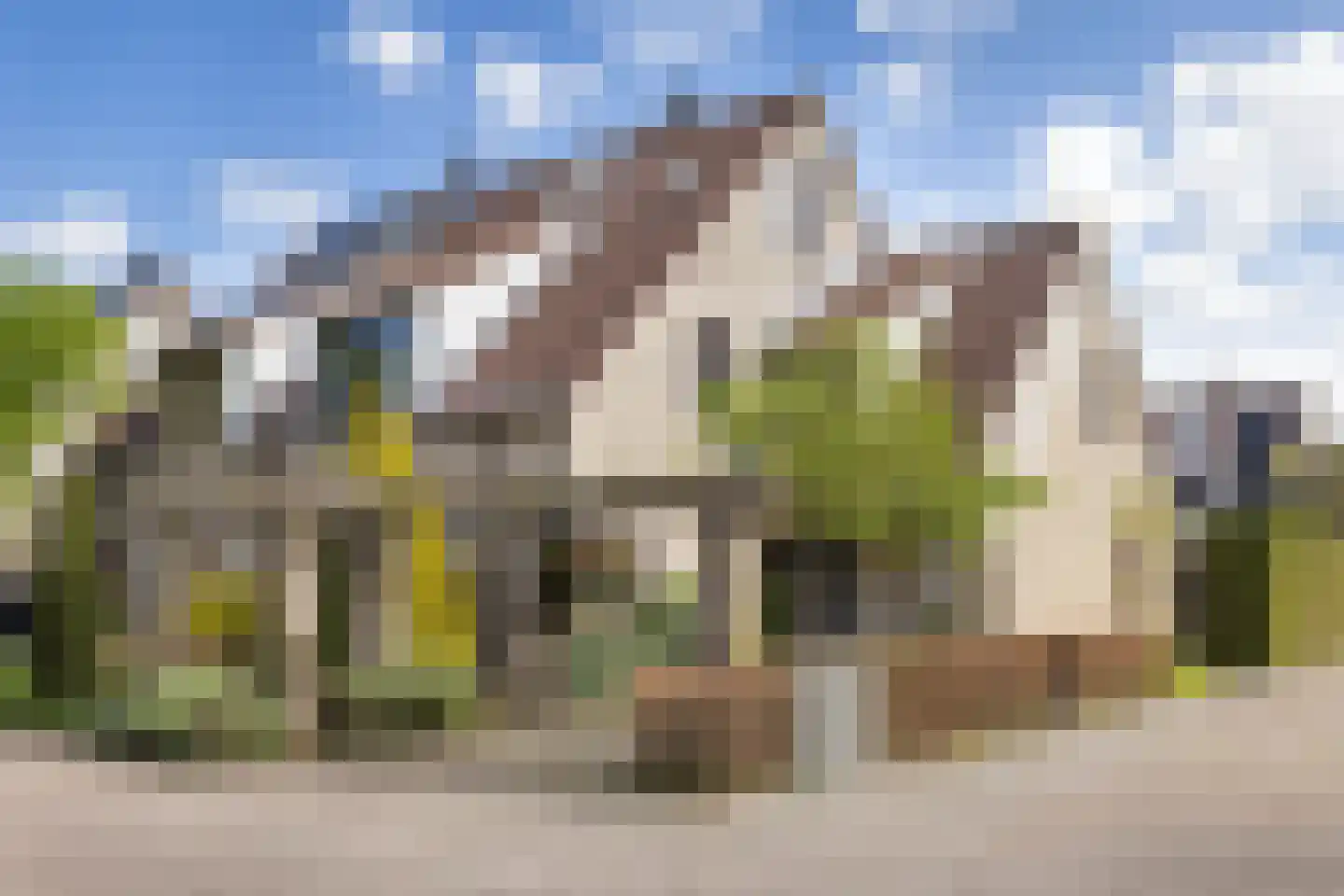Zevenblad 26 Borne