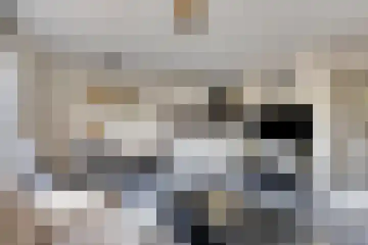 Zevenblad 26 De Meern thumbnail 10