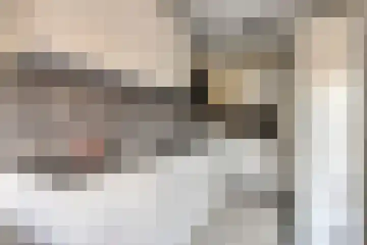Zevenblad 26 De Meern thumbnail 12