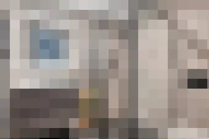 Zevenblad 26 De Meern thumbnail 17