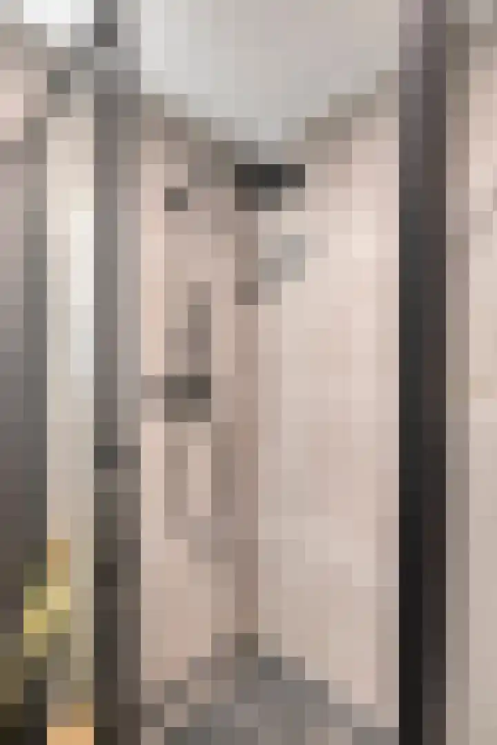 Zevenblad 26 De Meern thumbnail 18