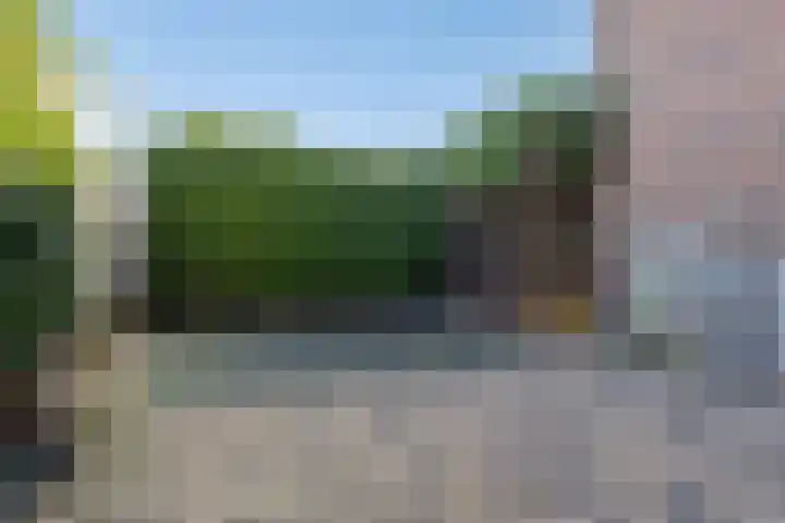 Zevenblad 26 De Meern thumbnail 22