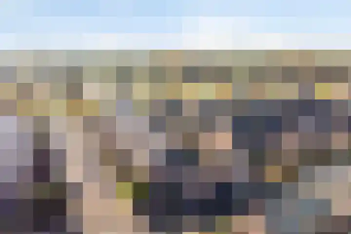 Zevenblad 26 De Meern thumbnail 25