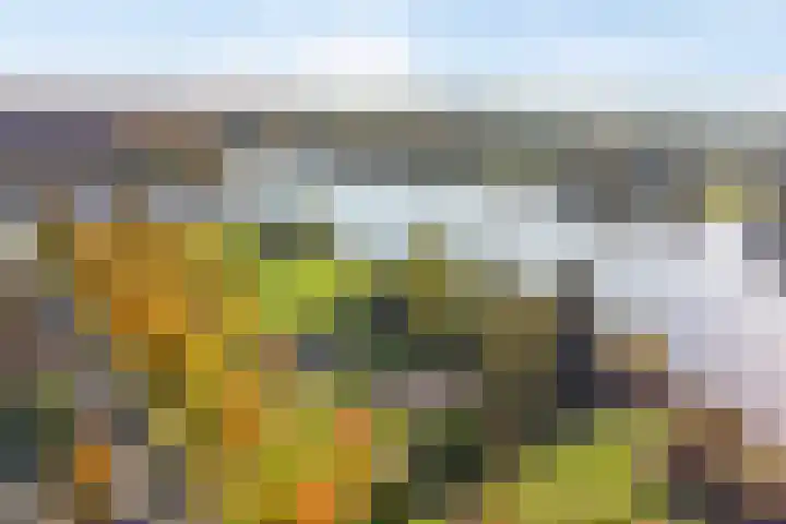 Zevenblad 26 De Meern thumbnail 27