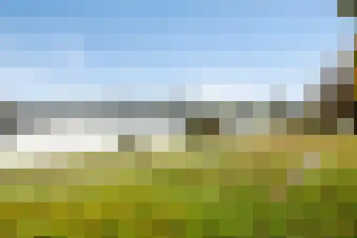 Zevenblad 26 De Meern thumbnail 28