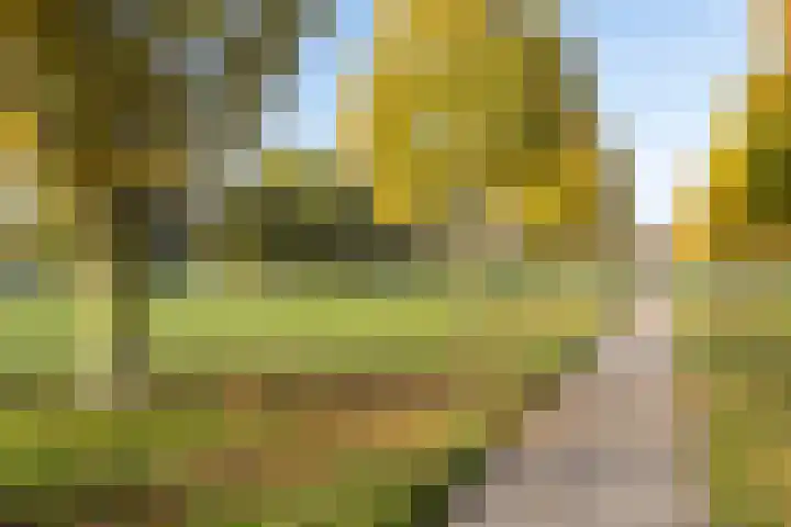 Zevenblad 26 De Meern thumbnail 29