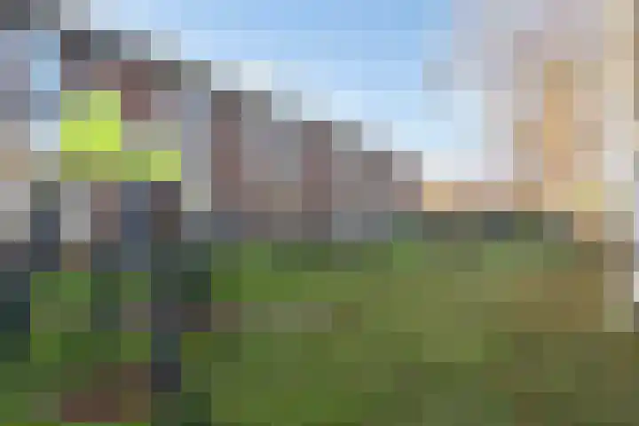 Zevenblad 26 De Meern thumbnail 30