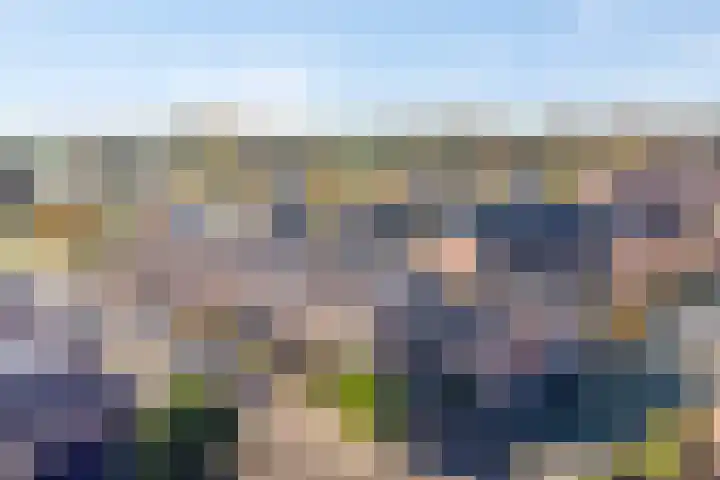 Zevenblad 26 De Meern thumbnail 5