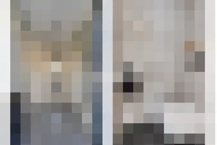 Zevenblad 26 De Meern thumbnail 8