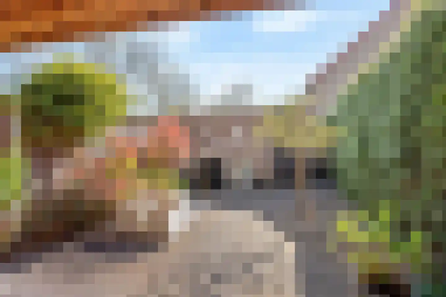 Zevenblad 3 Oldenzaal thumbnail 18