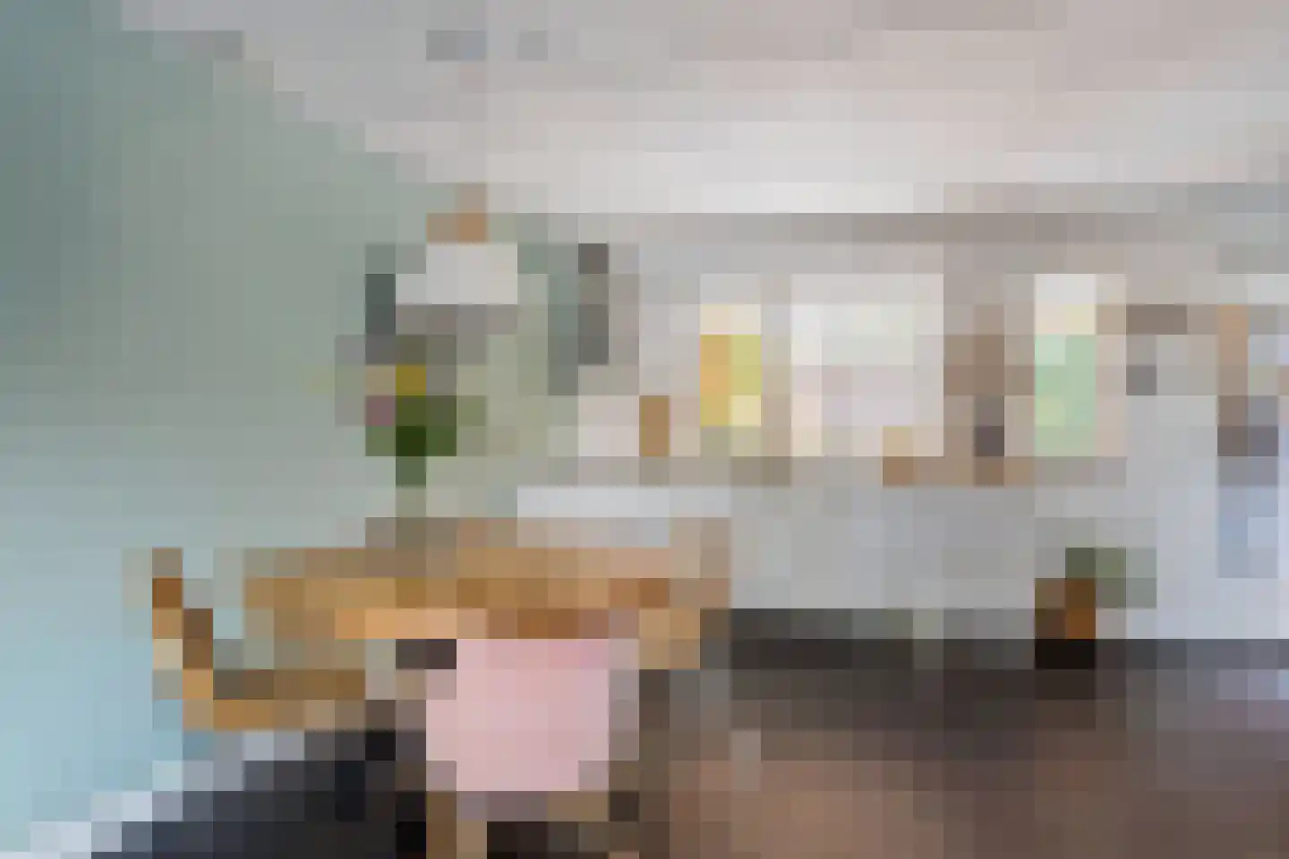 Zevenblad 3 Oldenzaal thumbnail 9