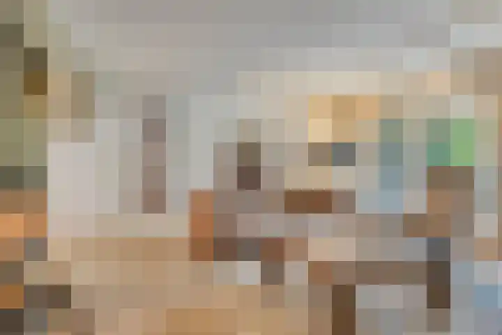 Zevenblad 30 Borne thumbnail 15