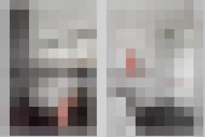 Zevenblad 33 Borne thumbnail 16