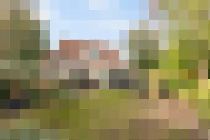 Zevenblad 33 Borne thumbnail 21