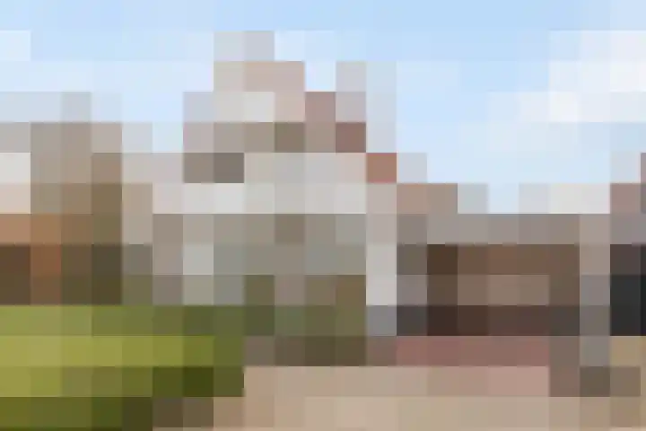 Zevenblad 33 Borne thumbnail 5