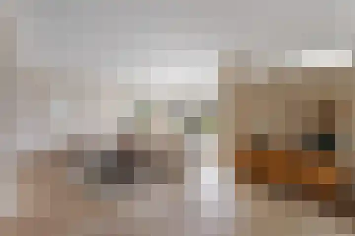 Zevenblad 33 Borne thumbnail 6