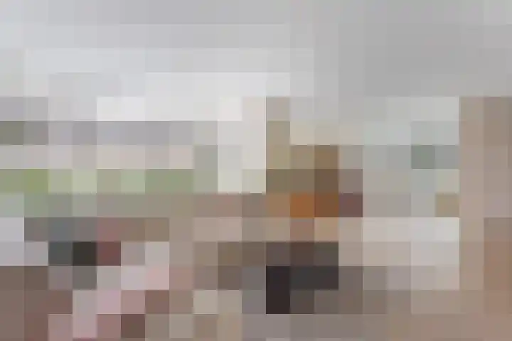 Zevenblad 33 Borne thumbnail 8