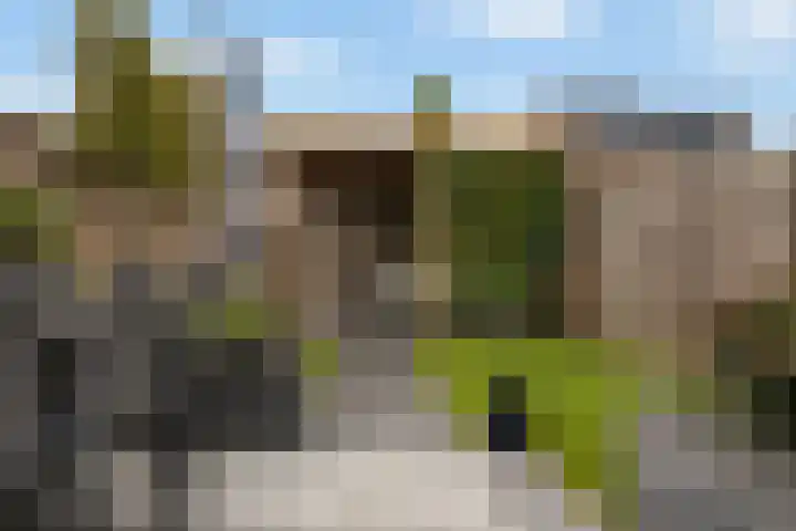Zevenblad 38 De Meern thumbnail 30