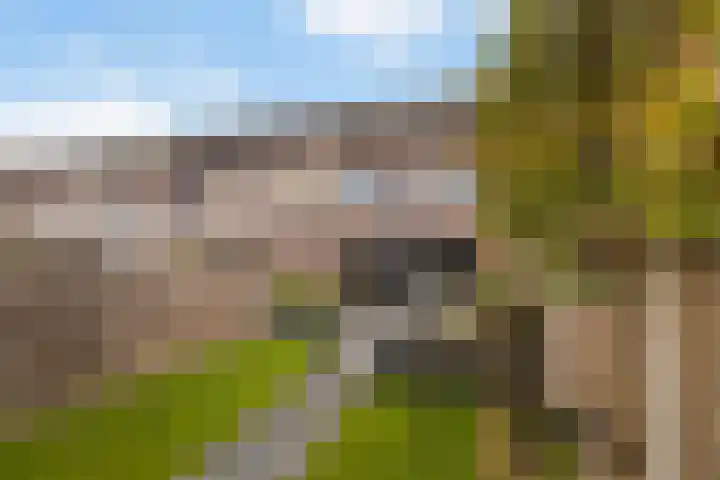 Zevenblad 38 De Meern thumbnail 32