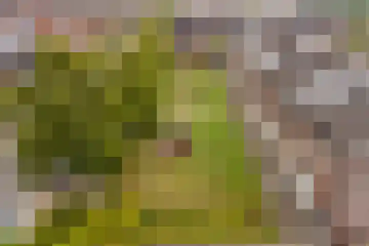 Zevenblad 38 De Meern thumbnail 36