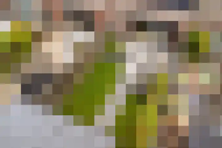 Zevenblad 38 De Meern thumbnail 37