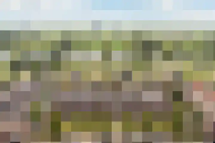 Zevenblad 38 De Meern thumbnail 39