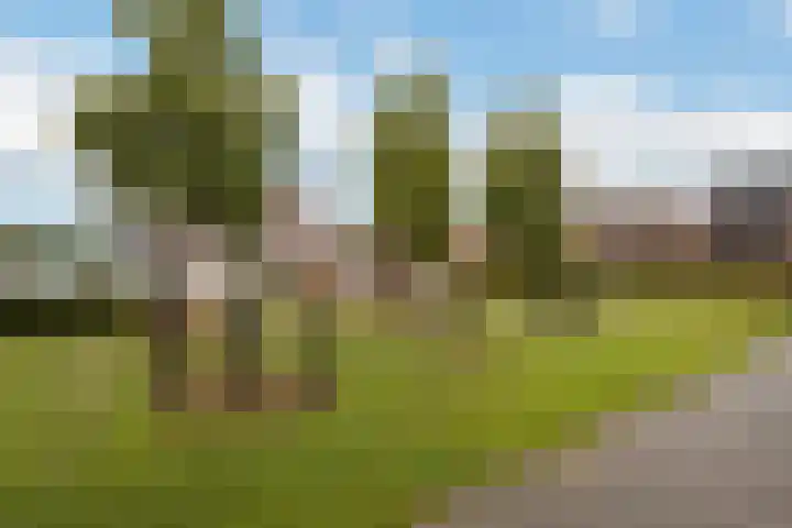 Zevenblad 38 De Meern thumbnail 4
