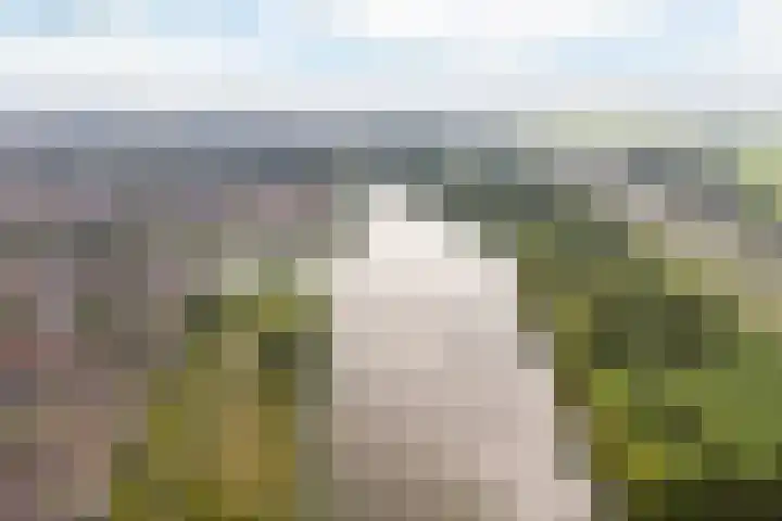 Zevenblad 38 De Meern thumbnail 42
