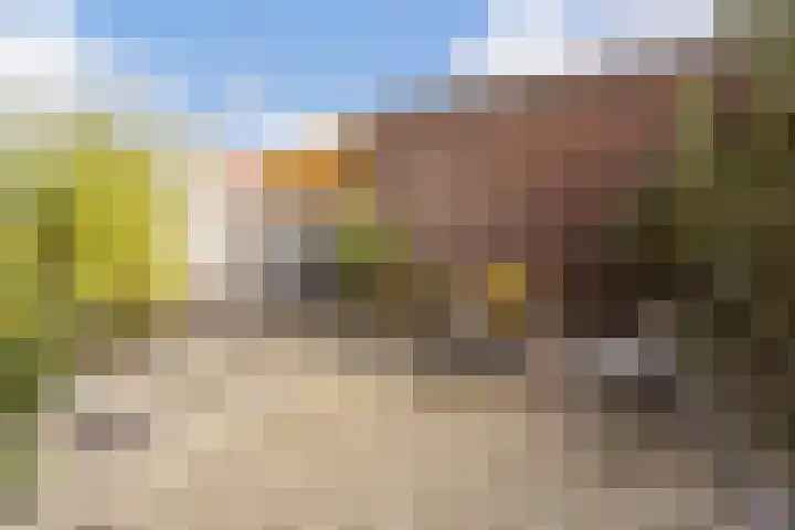 Zevenblad 39 De Meern thumbnail 12