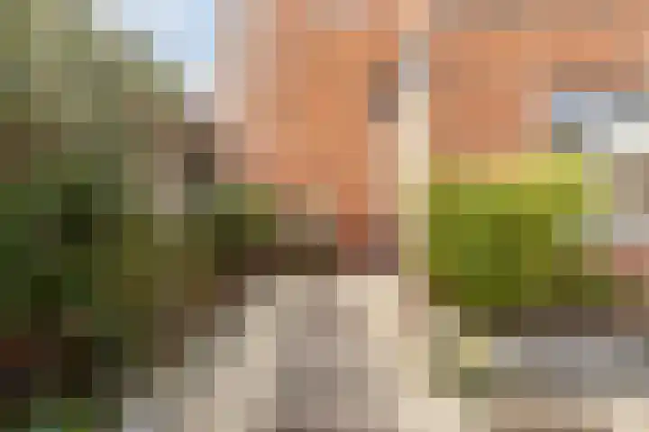 Zevenblad 39 De Meern thumbnail 14