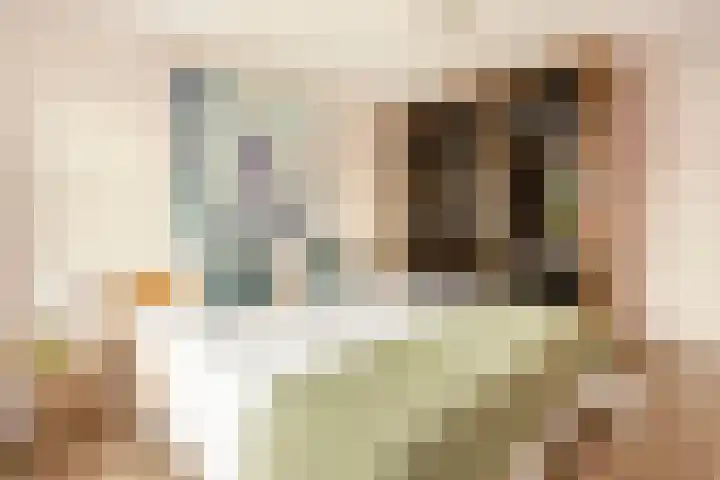 Zevenblad 39 De Meern thumbnail 28