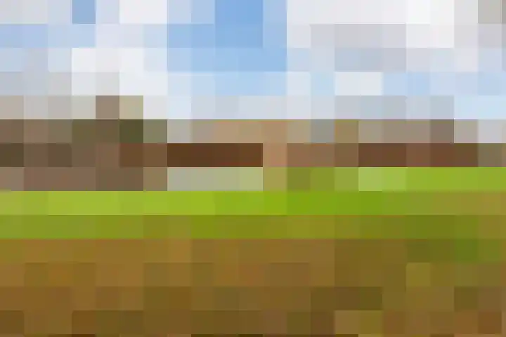 Zevenblad 39 De Meern thumbnail 37