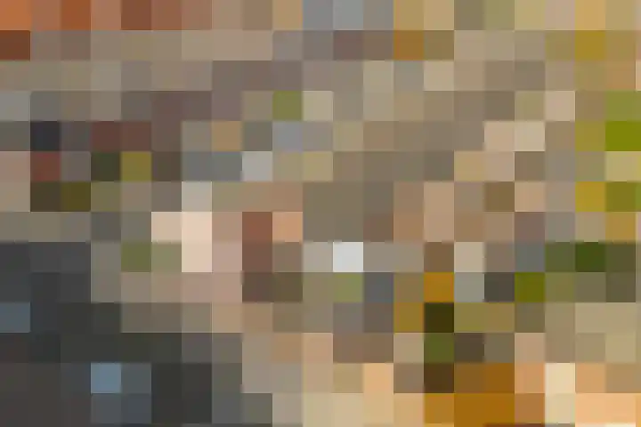 Zevenblad 39 De Meern thumbnail 45