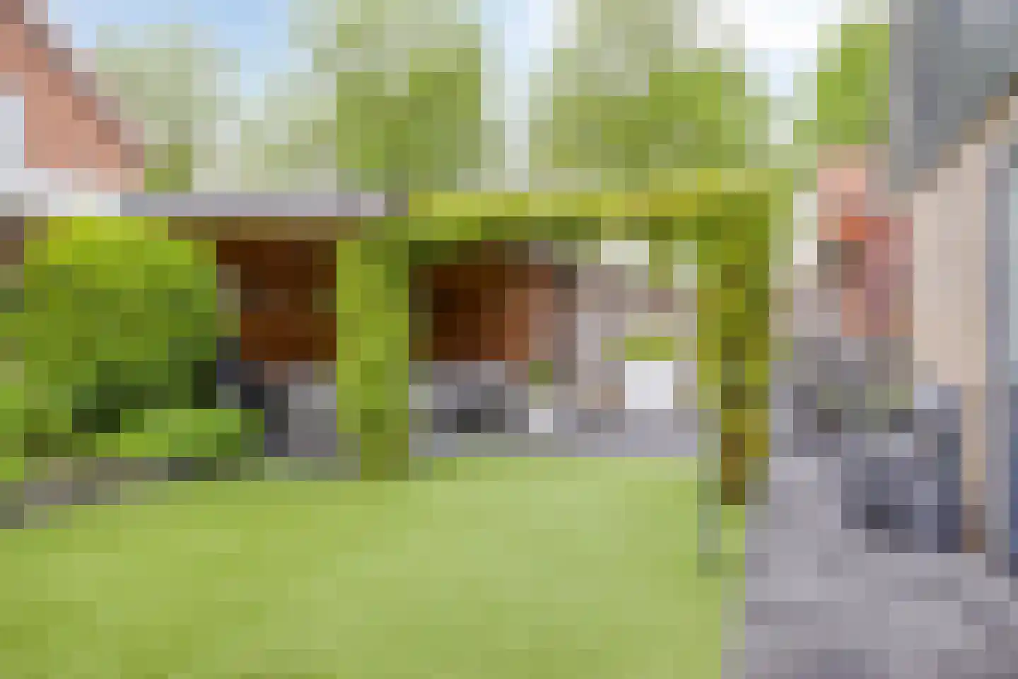 Zevenblad 4 Oldenzaal thumbnail 29