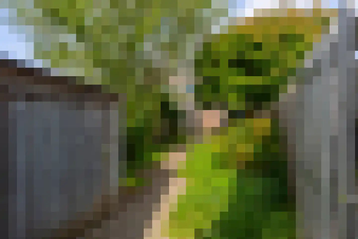 Zevenblad 58 De Meern thumbnail 27