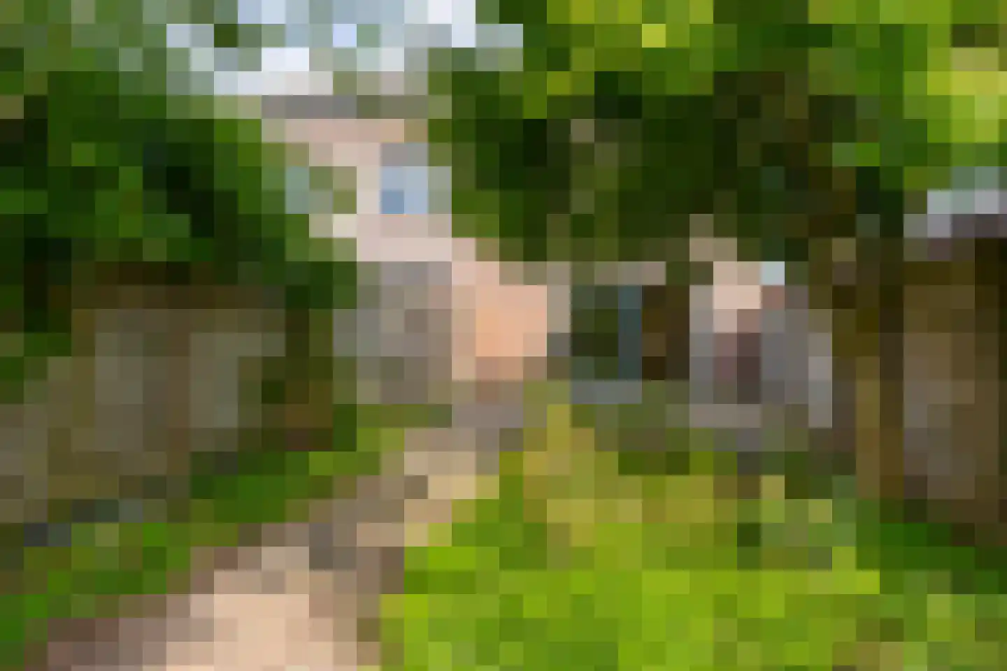 Zevenblad 58 De Meern thumbnail 28