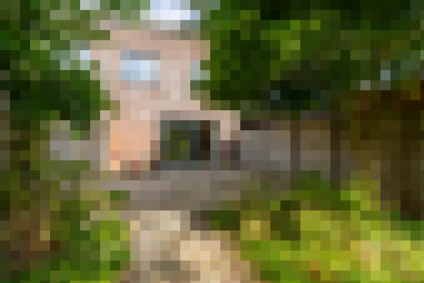 Zevenblad 58 De Meern thumbnail 29
